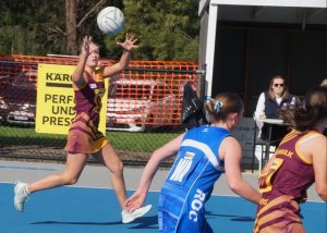 Hawks storm into Grand Final