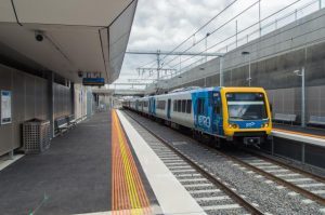 Replacement buses on Belgrave line after tree damages overhead wires