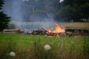 Black Hill Candling planned burn at 2.2km E of Belgrave