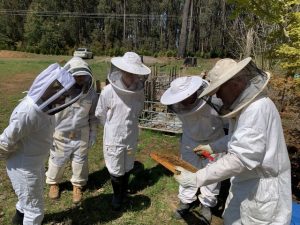 Emerald Regional Beekeepers host vital event on varroa mite control