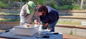 Children’s Week kicked off with various activities statewide