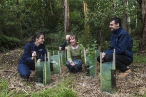 How Melbourne Water can help you save your local creek