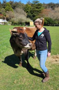 Tea time with furry friends at Selby