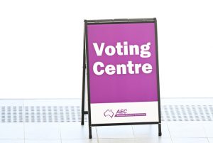 Council elections ballot packs mailed to voters