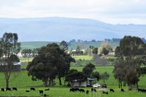 Gov says spike? Industry says dip