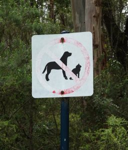 Belgrave resident raises concerns over off-leash dog Incidents at Lake Park