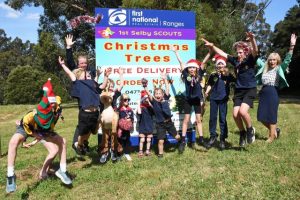 Support the scouts, buy a tree