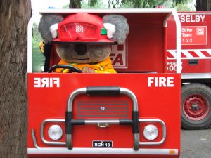 Get fire-ready at Selby CFA’s fundraising fair this November