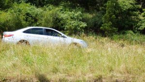 Ferntree Gully residents urge VicRoads to maintain highway overgrowth