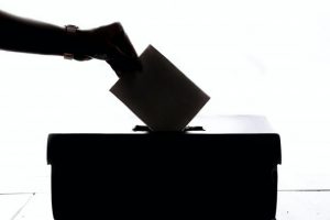 Suspected postal vote tampering in two local council elections referred for inquiry