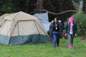 Shock homelessness data