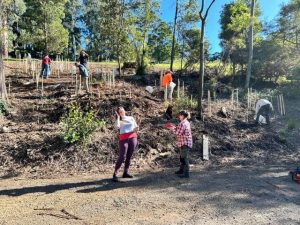 $14K grant to help revive park
