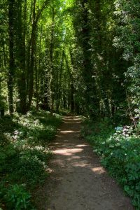 Funding granted for Kalorama art and nature project