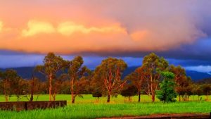 The rare beauty of a fog-bow as spring, summer transition brings all conditions