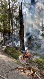 Controlled burn takes a wild turn