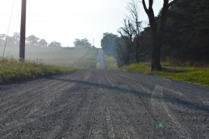 Road sealing concerns in Mount Dandenong