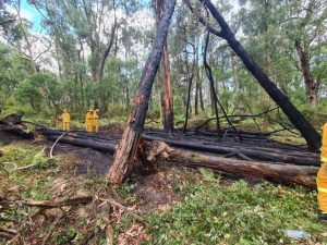 Quick multi-brigade response after lightning strike in Macclesfield