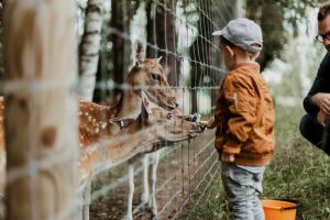 Fun and free activities for families this summer