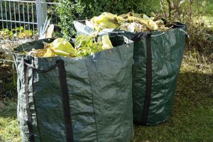 Council free green waste drop offs return