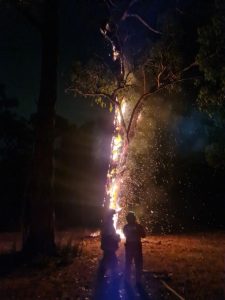 Lightning sparks more than 200 fires