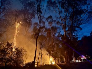 ’Raining embers’: the frightening wake up call of the Montrose bushfire