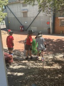 Clean slate for Tecoma