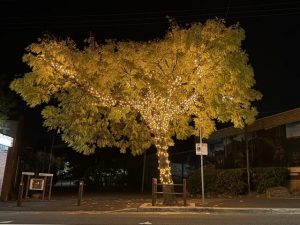 Upwey gets a dash of sparkle