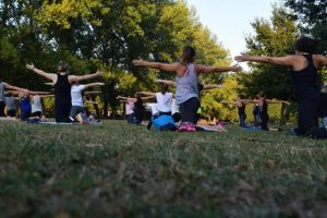 Celebrate Parks Week with free community activities