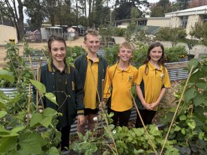 Monbulk Primary sprouts as finalist for top Sustainability Award