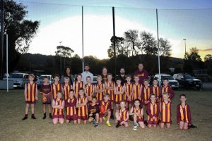Goal netting improves safety at Monbulk Recreation Reserve