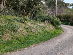 Kalorama residents push for upgraded drainage