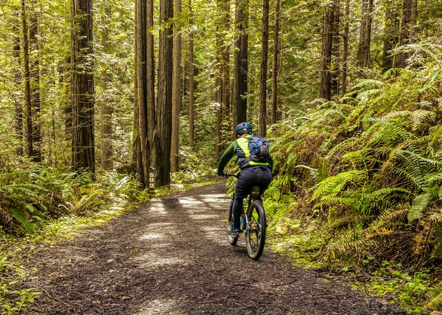 Council needs feedback from community for Paths and Trails Plan