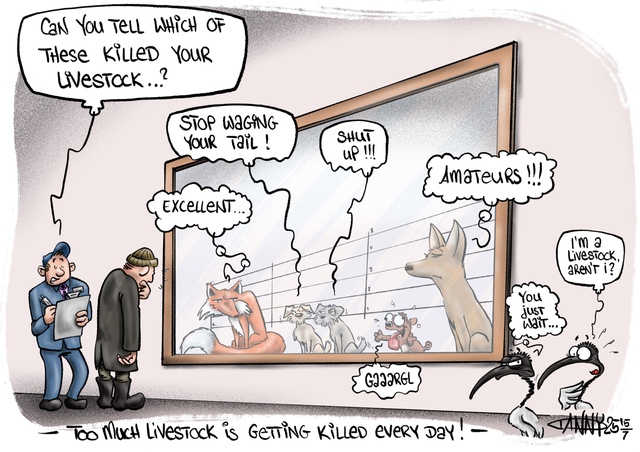 CARTOON: Livestock killers lineup