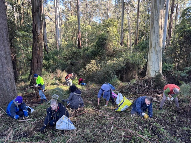 Cache me outside – weeding edition