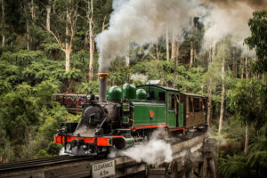 All aboard Belgrave’s future