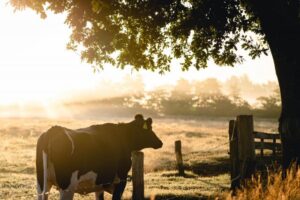 Information session for farmers looking to boost winter growth