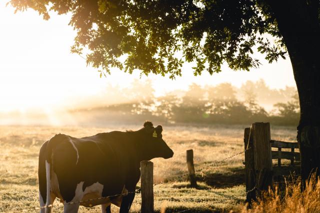 Information session for farmers looking to boost winter growth