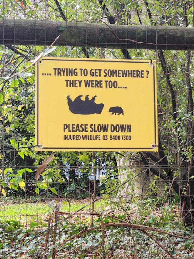 Critter signs make cents for wildlife shelter