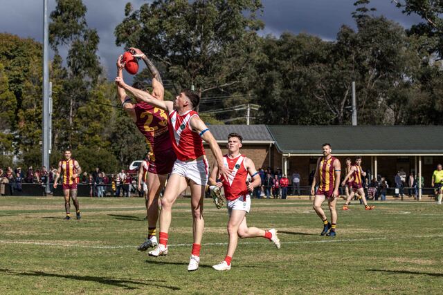 Hawks down Bloods at heavy cost