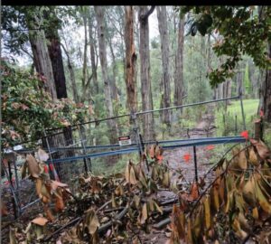 Kalorama residents demand reopening of Child Road track