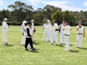 Veterans cricket keeps hills players in the game