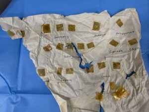 Police seek owner of valuable coin collection