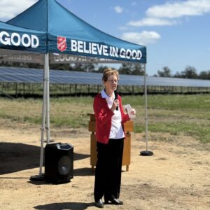 Solar farm finds home in The Basin