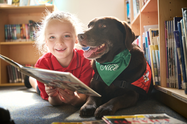 Christmas push to fund animal-assisted programs in Knox