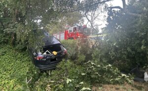 Multiple Hillside accidents after alleged drink driving