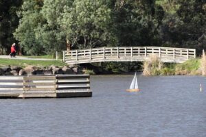 Wellness walks for the Yarra Ranges