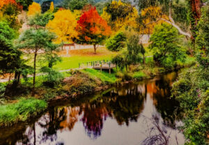 Edwards’ top Upper Yarra pics from 2025