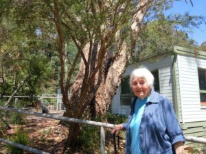 Ranges look back for 2025